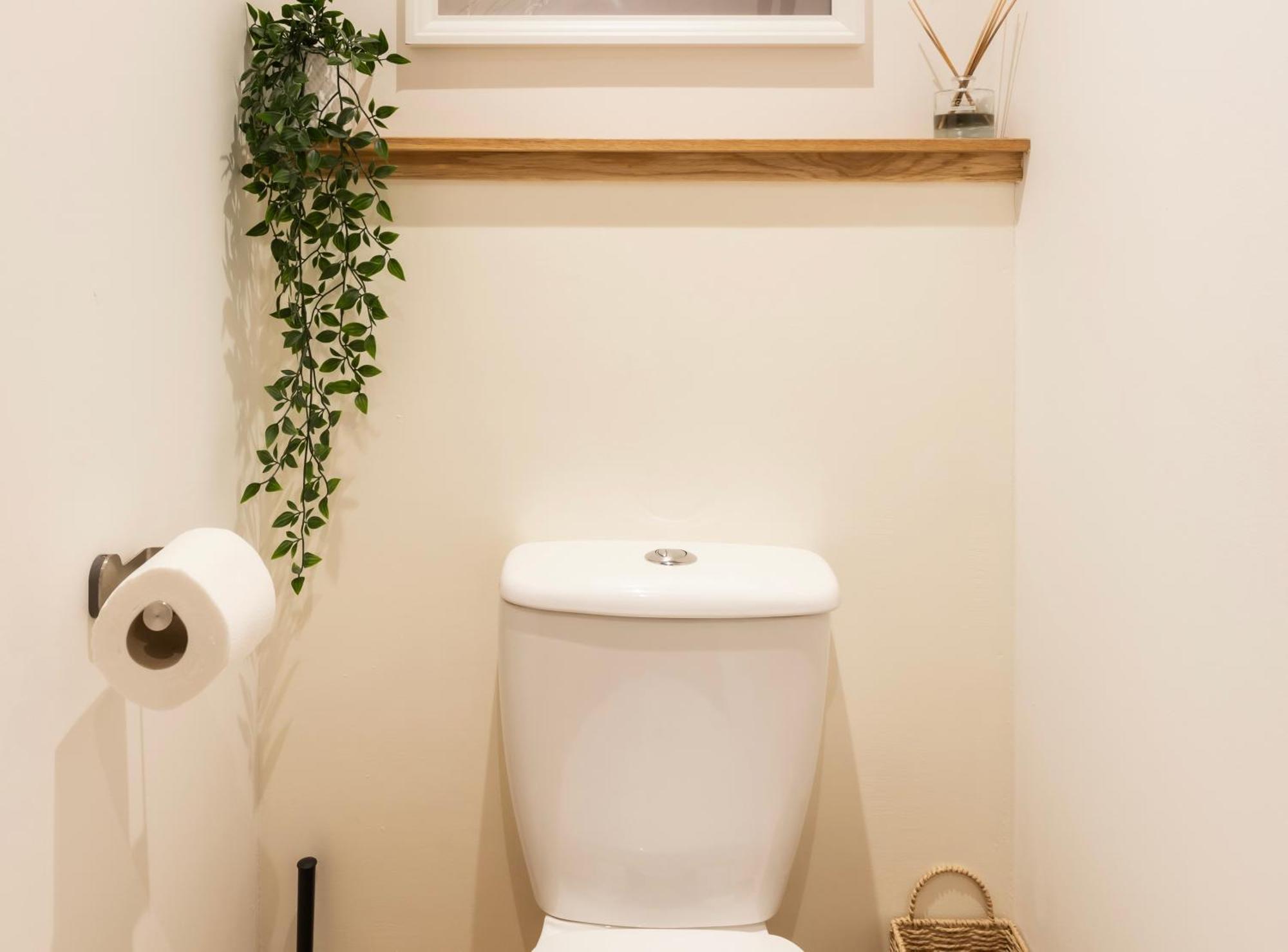 Tucked Away - Seaside Home In Anstruther Sleeps 6 Zewnętrze zdjęcie